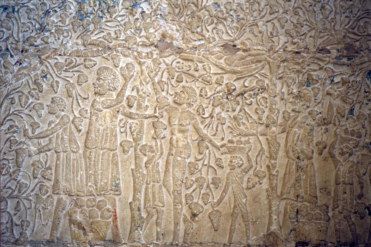  द्वारा स्कूल मिस्र