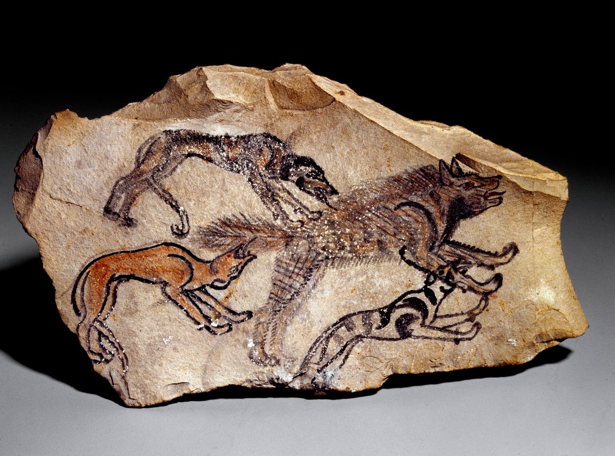 लकड़बग्घा का शिकार करने वाले कुत्ते (पत्थर की नक्काशी, c.1300-1100 ईसा पूर्व) द्वारा स्कूल मिस्र