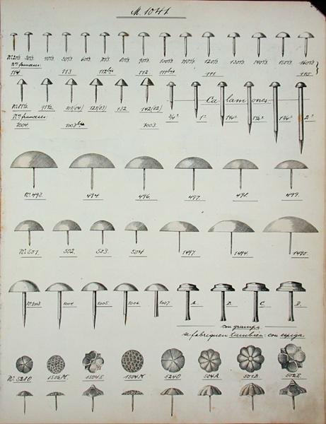 घरेलू सामान और फिटिंग के व्यापार कैटलॉग से नाखून, टैक और पिन, c.1890-1910 (लिथो) द्वारा स्कूल की अंग्रेजी
