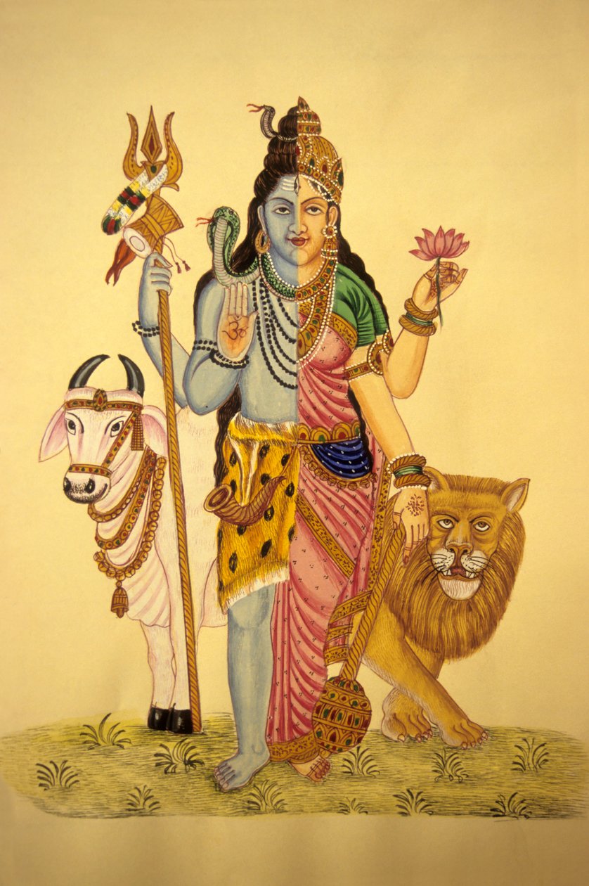  द्वारा स्कूल इंडियन