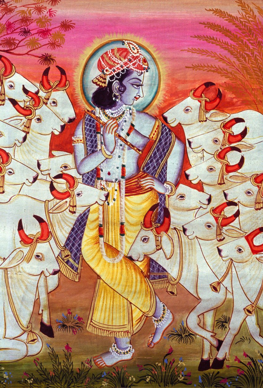  द्वारा स्कूल इंडियन