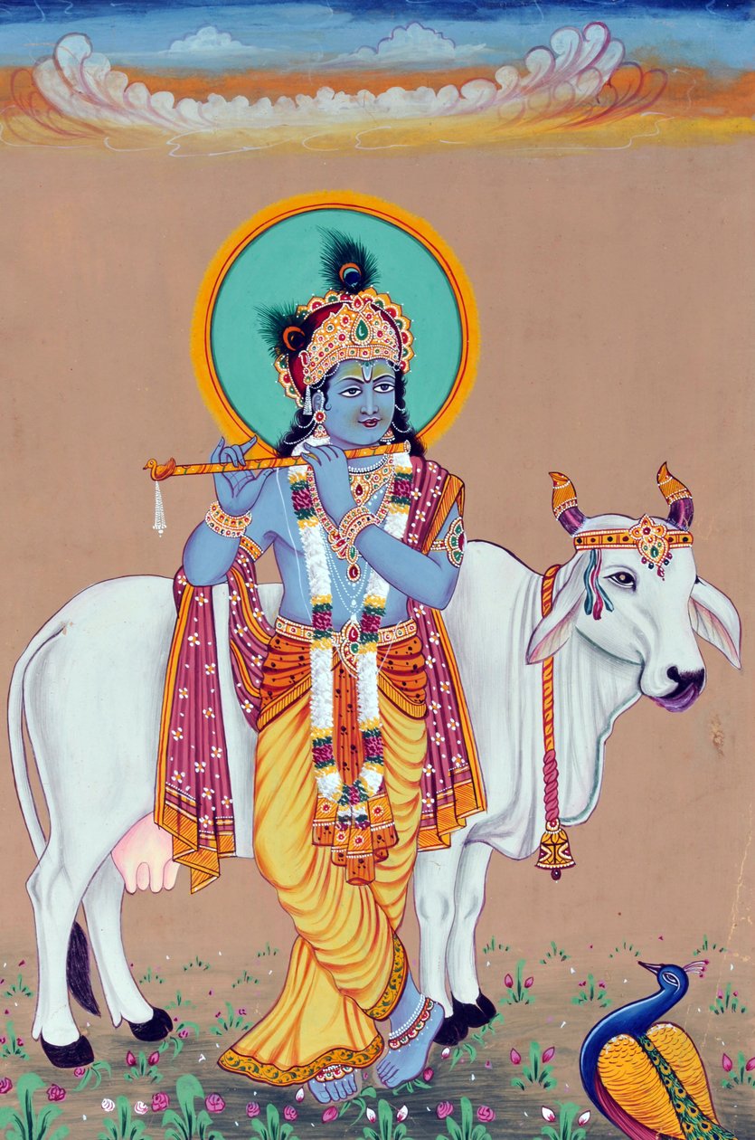 द्वारा स्कूल इंडियन