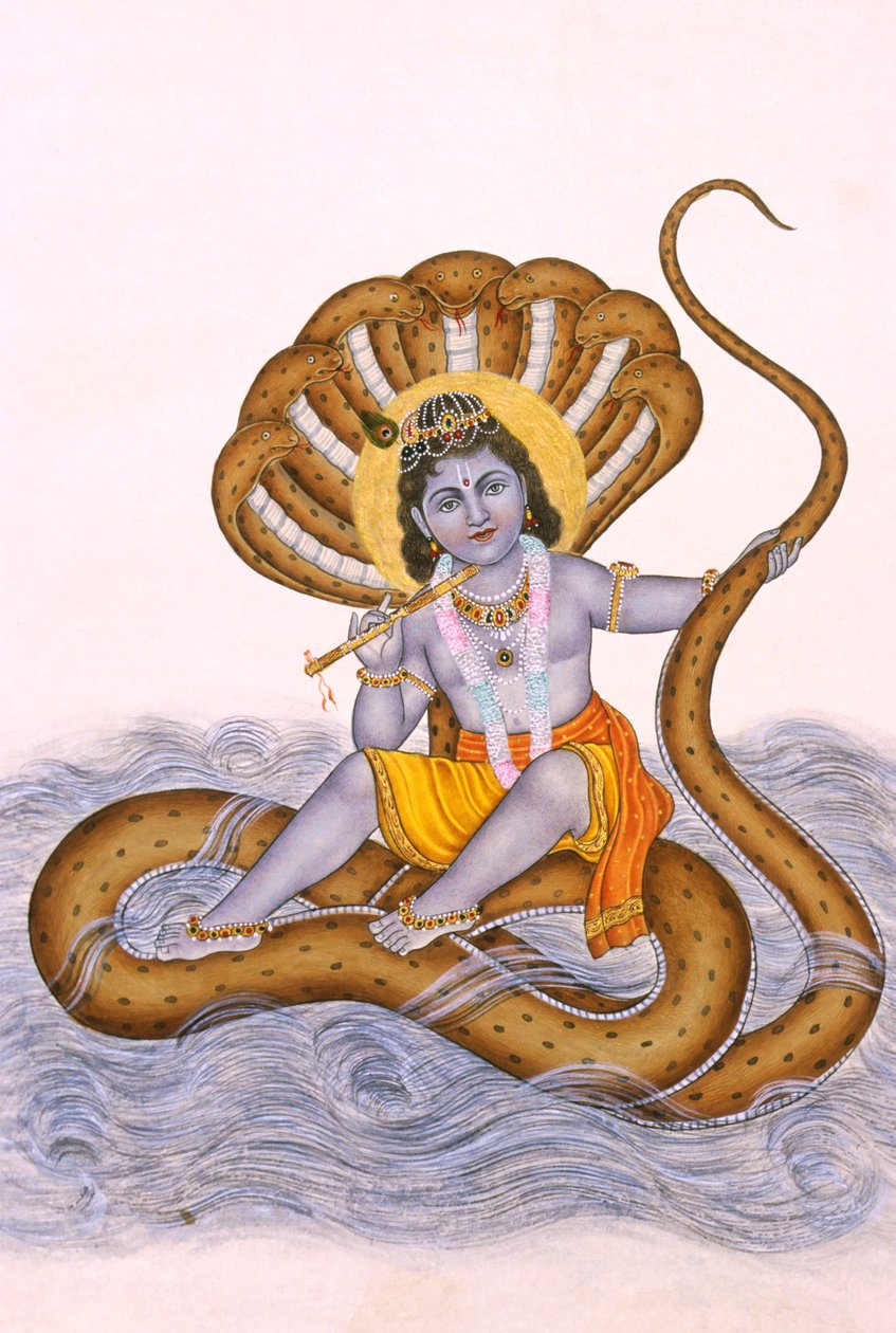  द्वारा स्कूल इंडियन