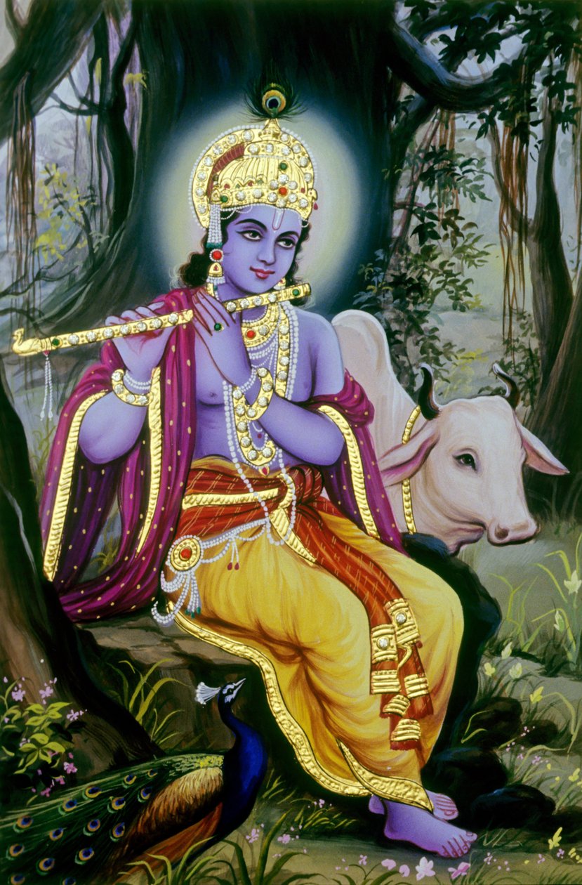  द्वारा स्कूल इंडियन
