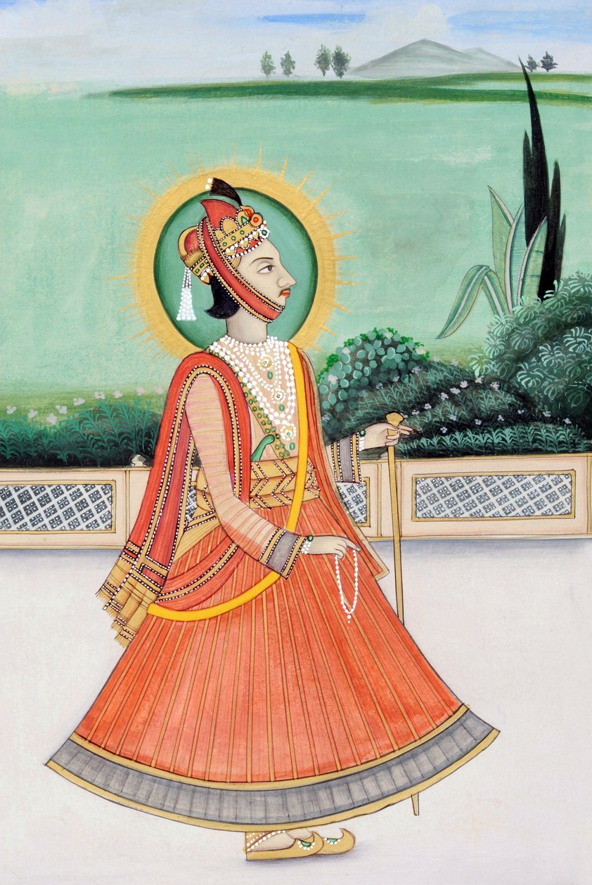  द्वारा स्कूल इंडियन