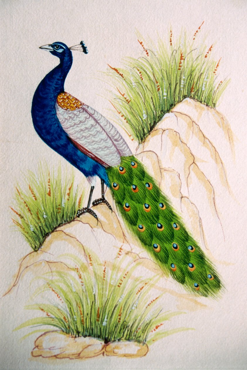  द्वारा स्कूल इंडियन