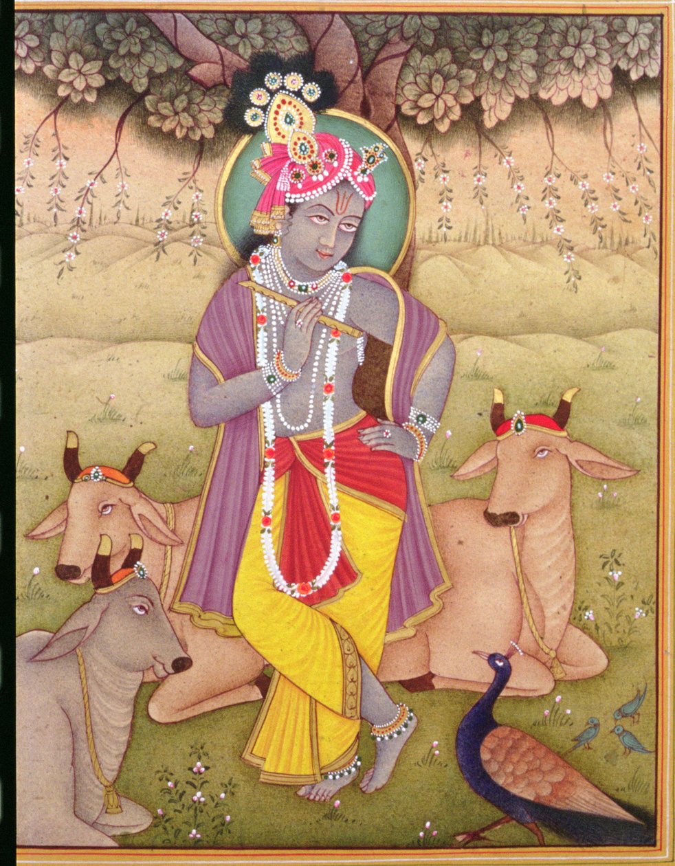  द्वारा स्कूल इंडियन