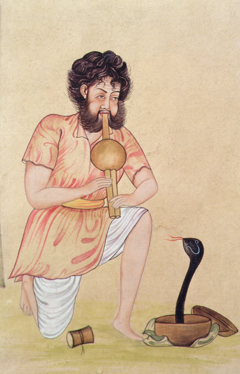  द्वारा स्कूल इंडियन