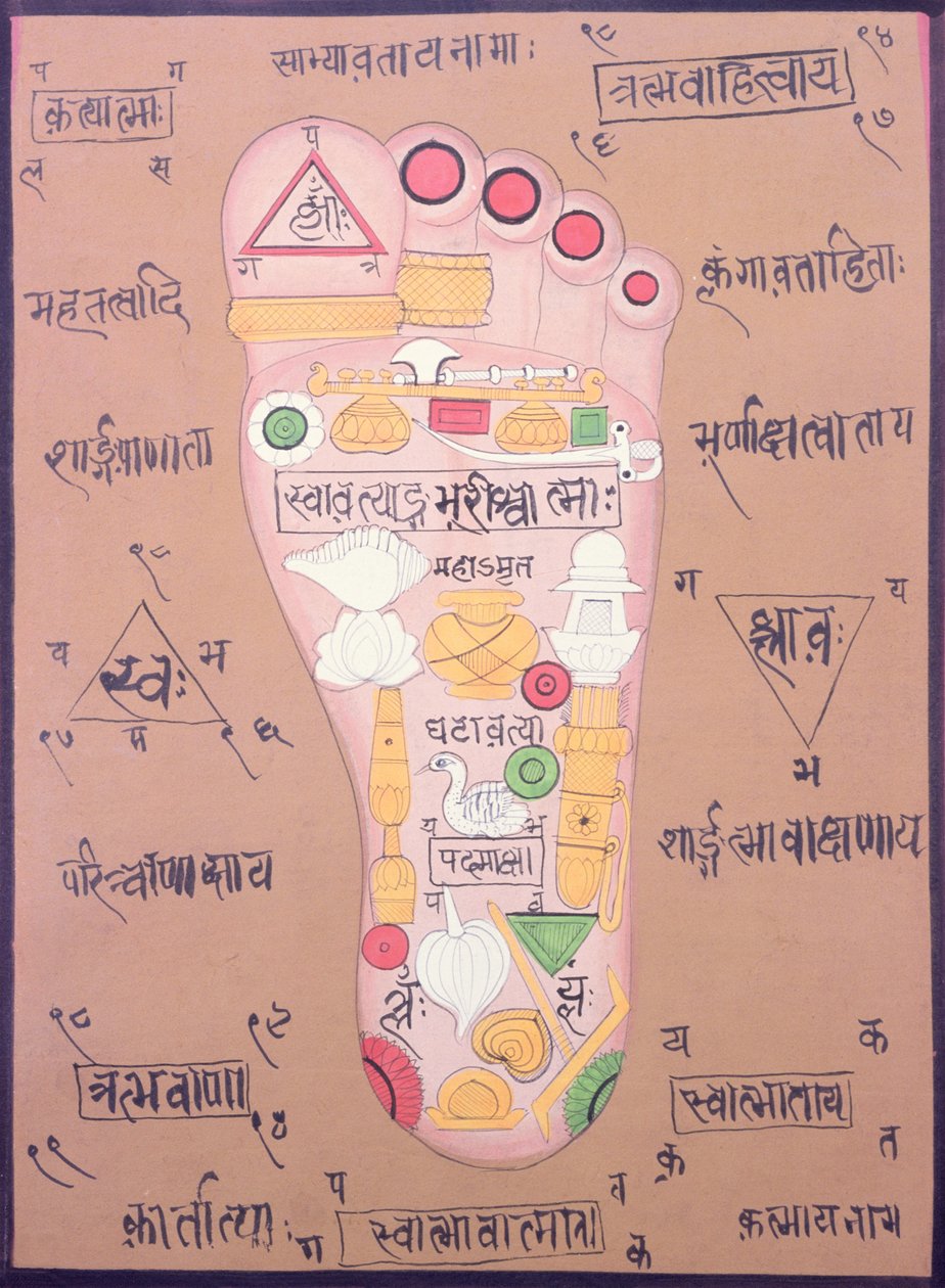  द्वारा स्कूल इंडियन