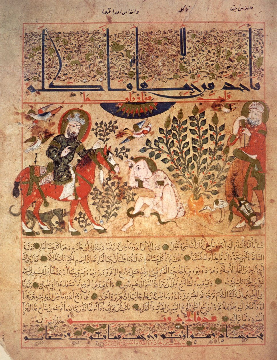  द्वारा स्कूल इराकी