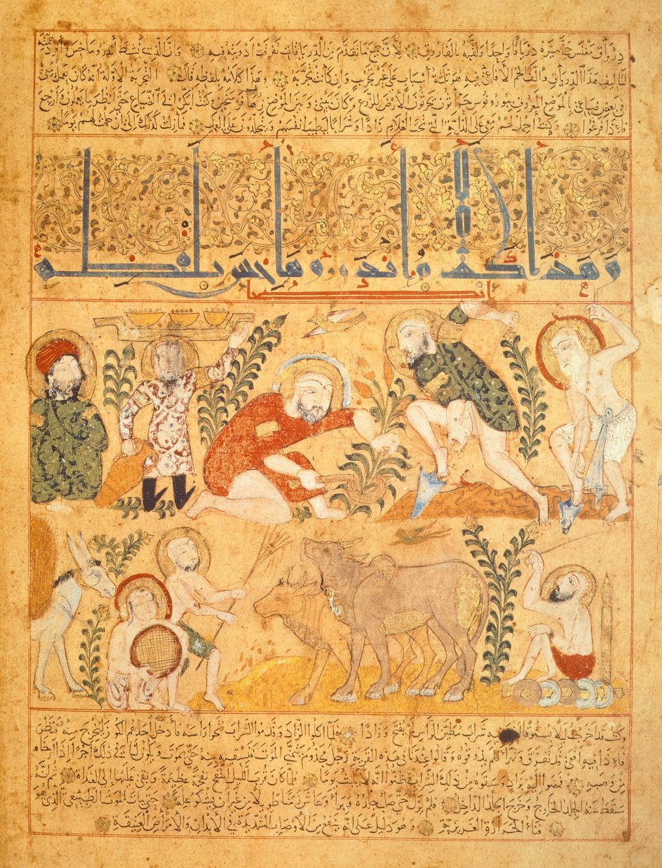  द्वारा स्कूल इराकी