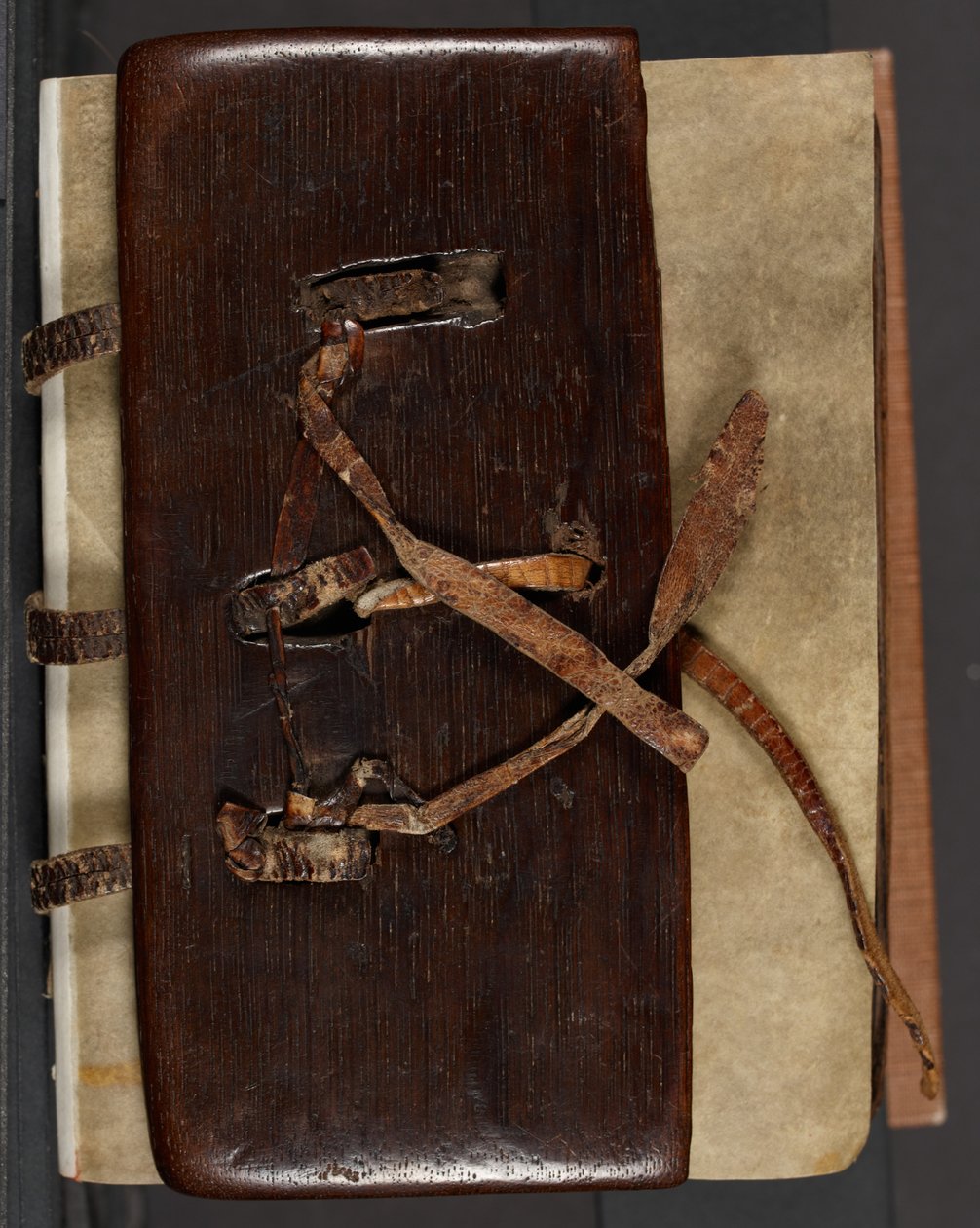 MS CCC 282 Corpus आयरिश मिसाल बुक बाइंडिंग, c.1120-30 (ओक, लेदर और वेल्लम) द्वारा स्कूल आयरिश