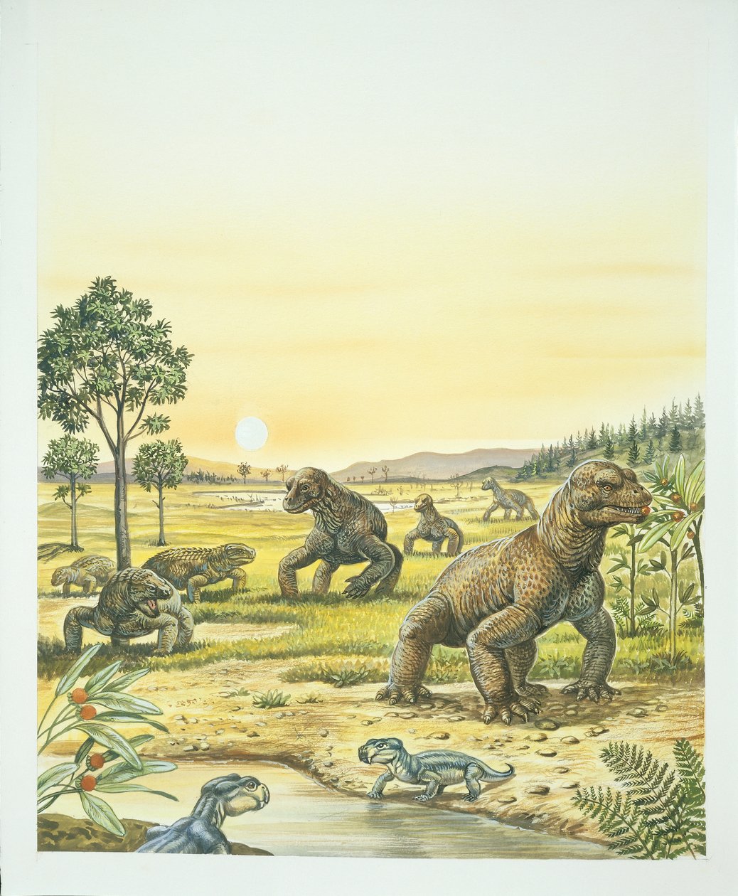 Anomodonts, अग्रभूमि, Pareisours, बाएँ, और Dinocephalians, दाएँ, Paleozoic, Permian अवधि (रंग लिथो) द्वारा स्कूल इतालवी