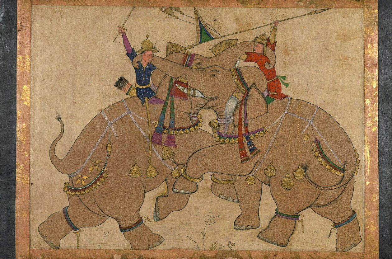 हाथी का मुकाबला (स्याही, कागज पर पिगमेंट पर चढ़ा हुआ) द्वारा स्कूल मुगल