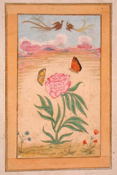 स्मॉल क्लाइव एल्बम (चर्मपत्र पर गौचे) से, स्वर्ग और तितलियों के पक्षियों के साथ फूल वाले पौधे द्वारा स्कूल मुगल