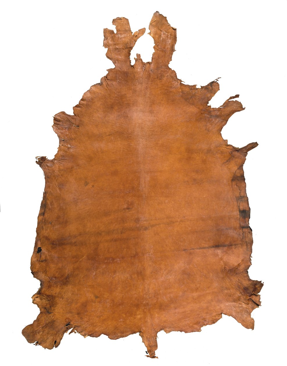 पशु छिपाना, सी। 1786 (चमड़ा) द्वारा स्कूलरूसी