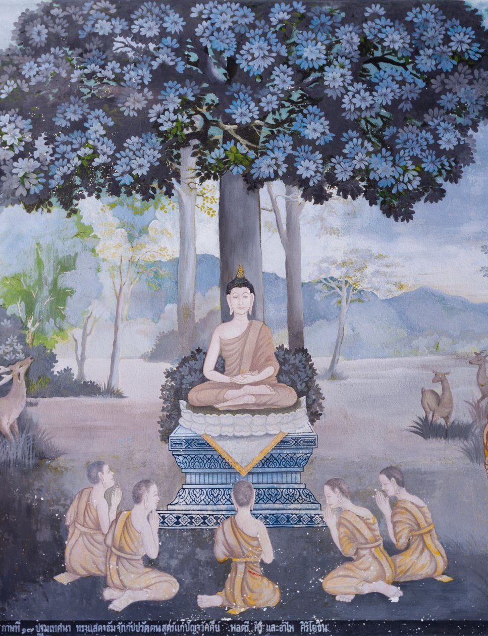  द्वारा स्कूल थाई