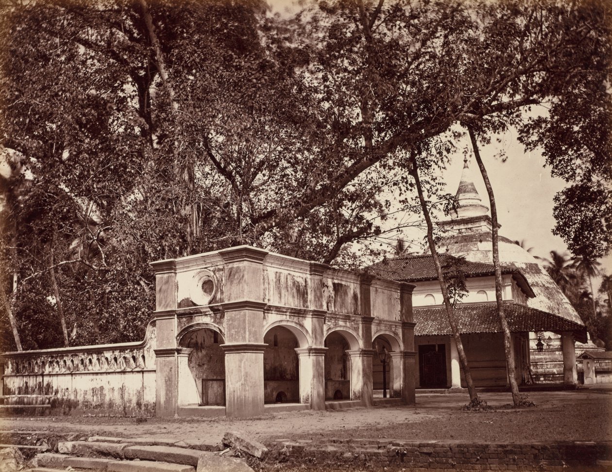  द्वारा Scowen and Co.