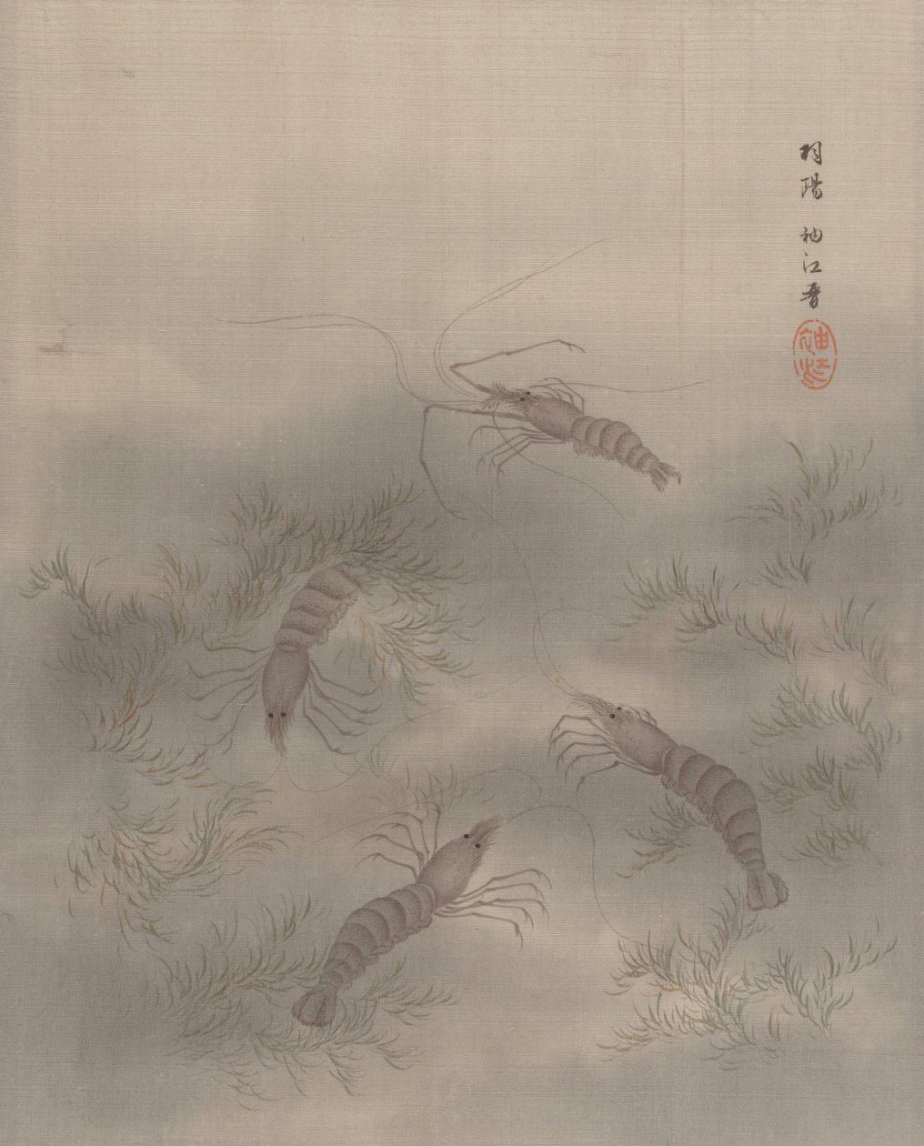 Shrimp Ebi, ca. 1890-92.  द्वारा सेकी शुको