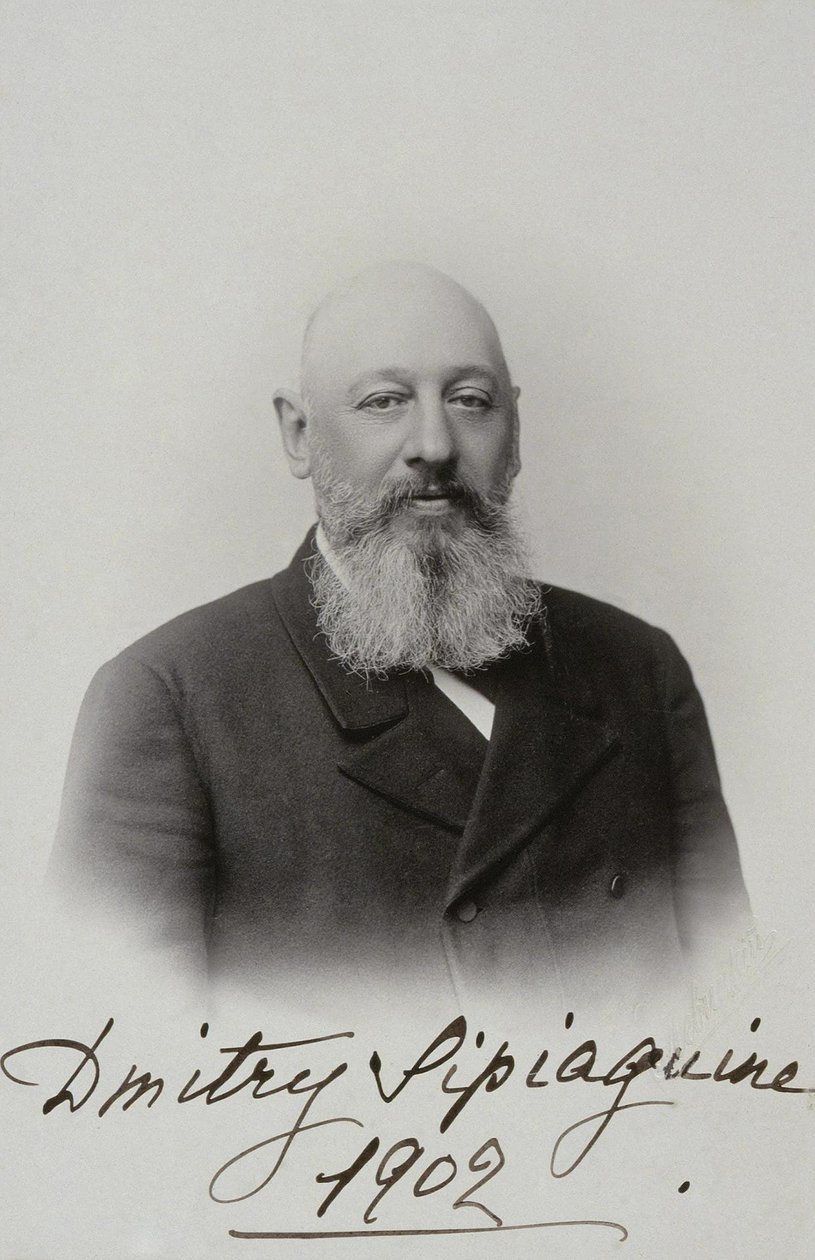 दिमित्री सर्गेयेविच सिपयागिन का पोर्ट्रेट 1853-1902, 1902 द्वारा सर्गेई लावोविच लेविट्स्की