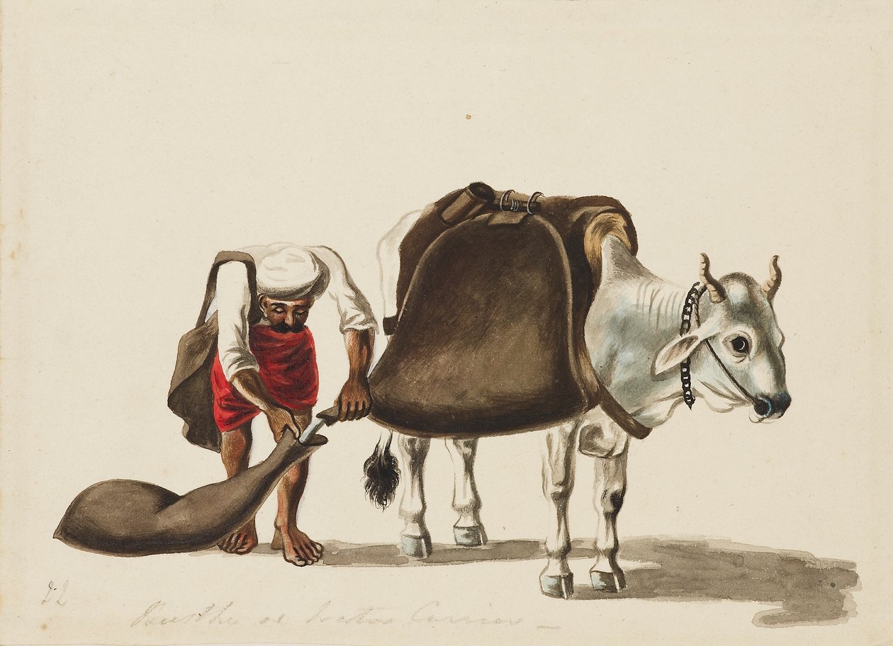 जल-वाहक, c1810 द्वारा सेवक राम