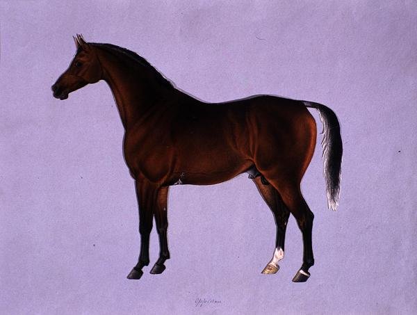 Oppidan, c.1840 (कागज पर पानी के रंग का) द्वारा कर्राया के शिक मुहम्मद अमीर