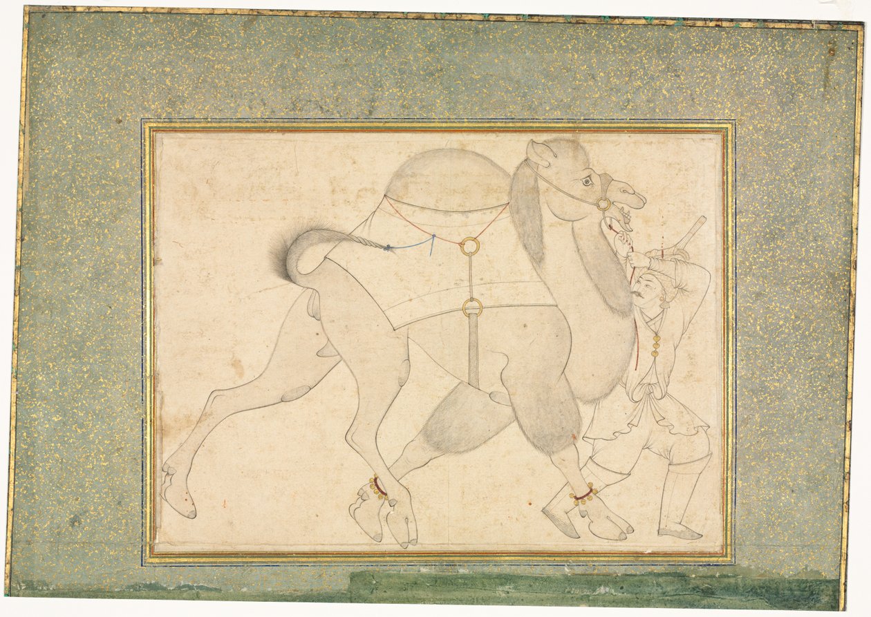 ऊंट और दूल्हे, सिंगल पेज इलस्ट्रेशन, सी। 1545-1576। द्वारा शेख मुहम्मद