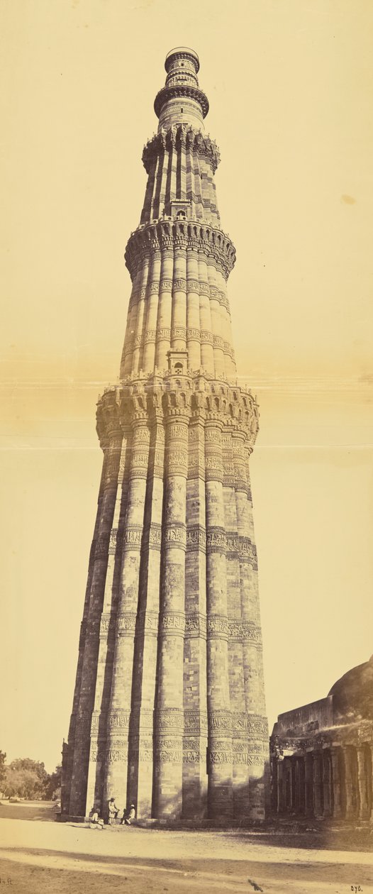  द्वारा शेफर्ड और रॉबर्टसन