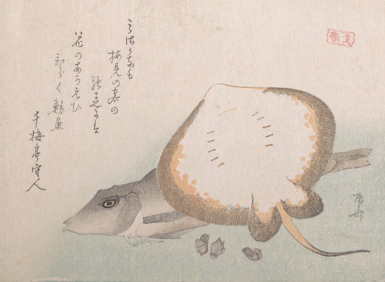 Stingray और गर्नार्ड, शायद 1815, शायद 1815। द्वारा शिन्साई