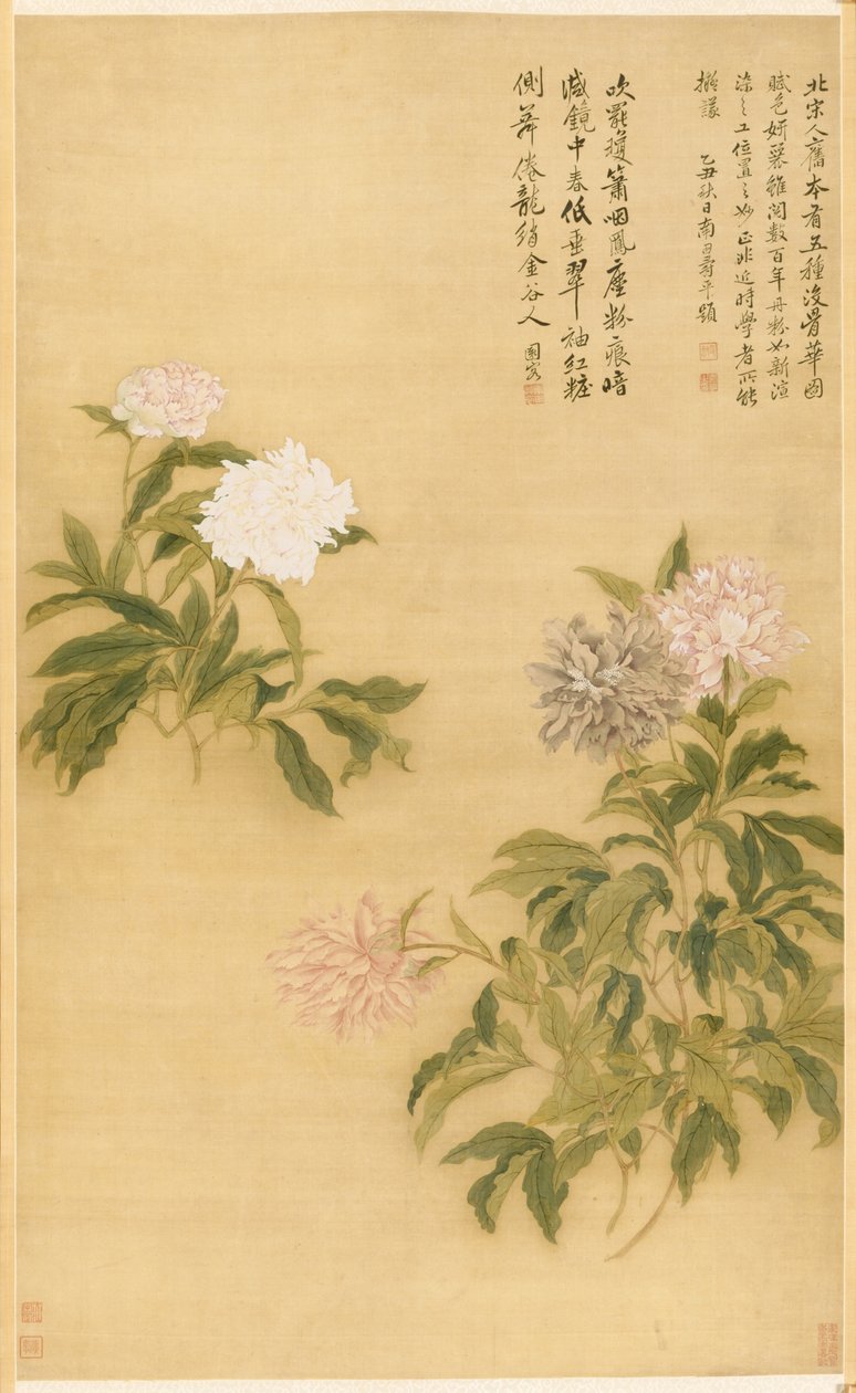 Peonies, हैंगिंग स्क्रॉल द्वारा चिल्लाना यूं