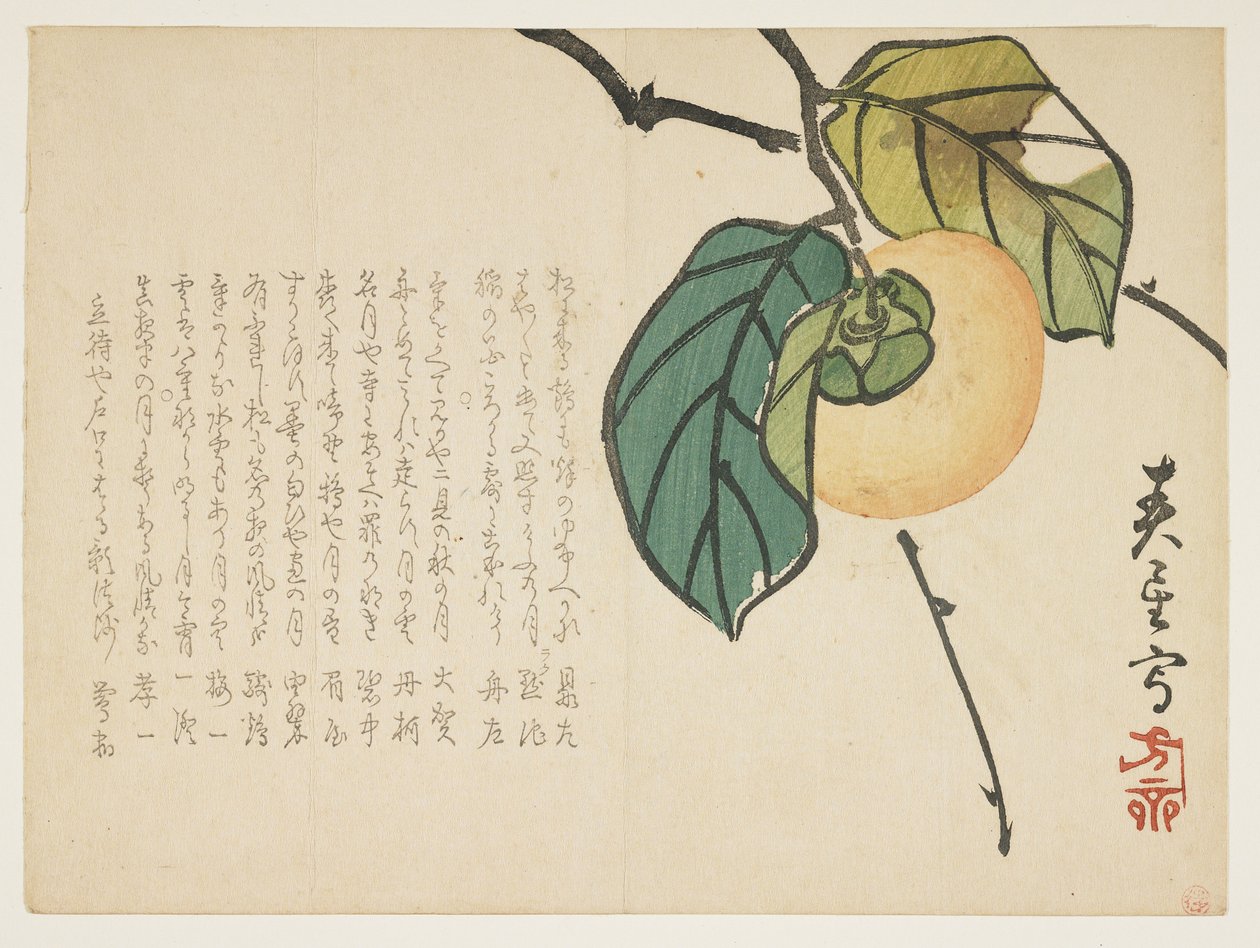 Persimmon, c.1854-59 (कलर वुडब्लॉक प्रिंट) द्वारा Shunsei