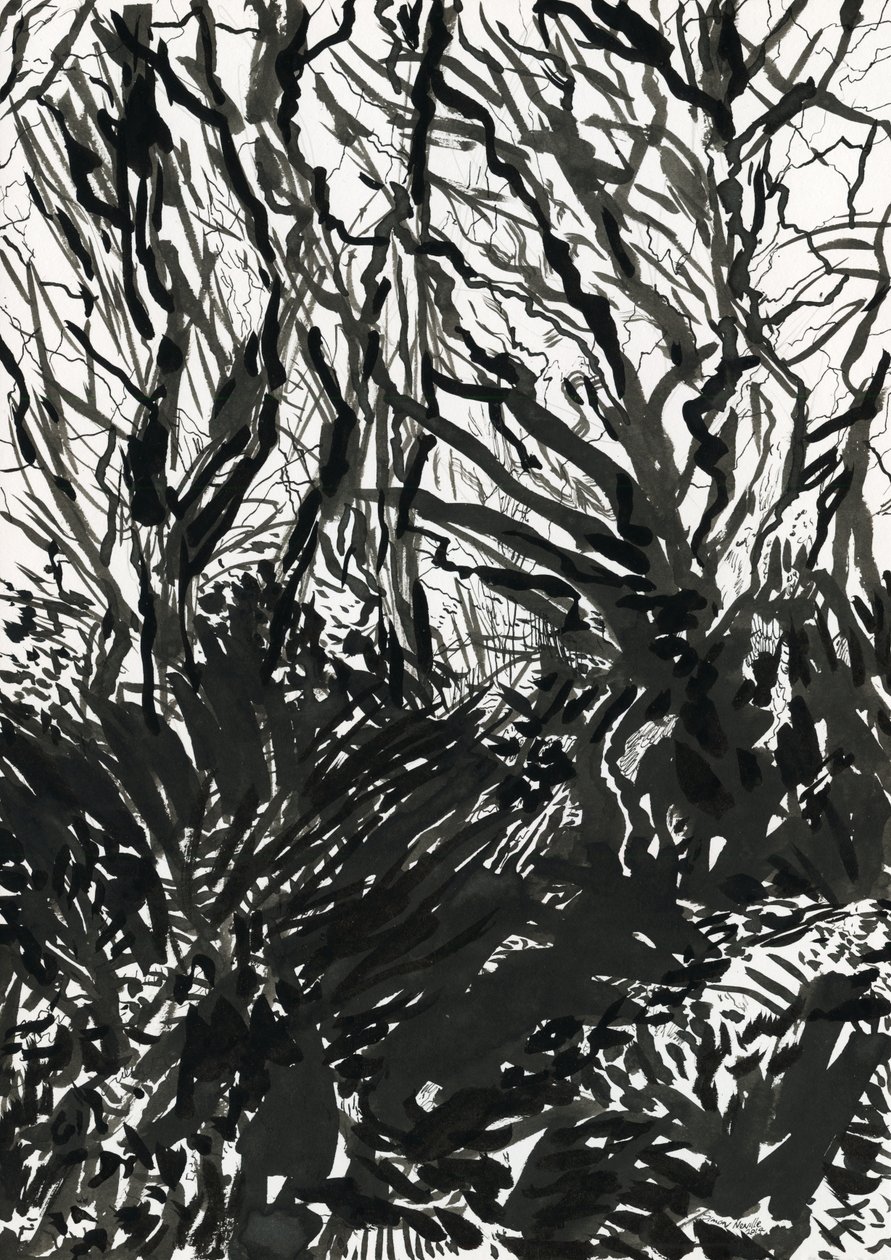  द्वारा साइमन नेविल