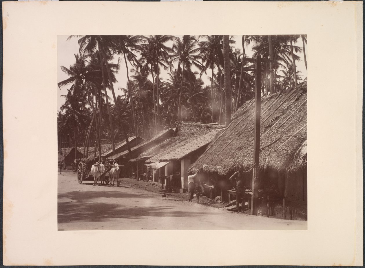  द्वारा Skeen and Co.