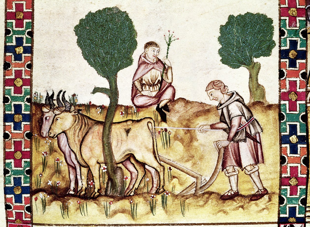 Fol.237r एक किसान अपने बेटे को खेत जोतने की शिक्षा देता है द्वारा स्पेनिश स्कूल