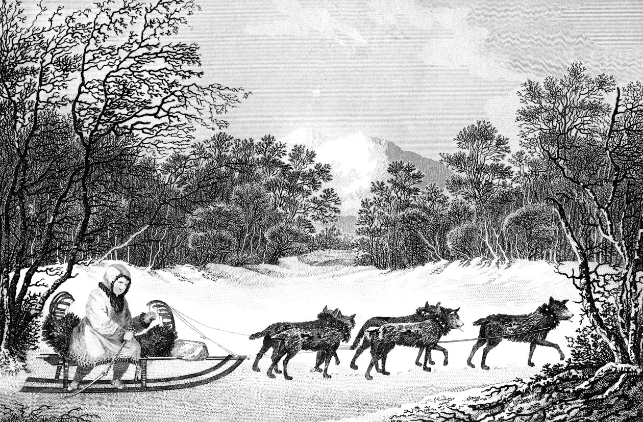 19 वीं शताब्दी में कामतचटका में सर्दियों में यात्रा का मैनर। द्वारा गौरैया