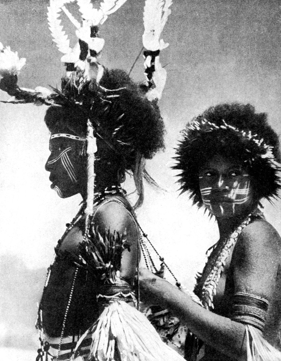 चित्रित योद्धा, पापुआ, न्यू गिनी, 1936। द्वारा खेल और सामान्य