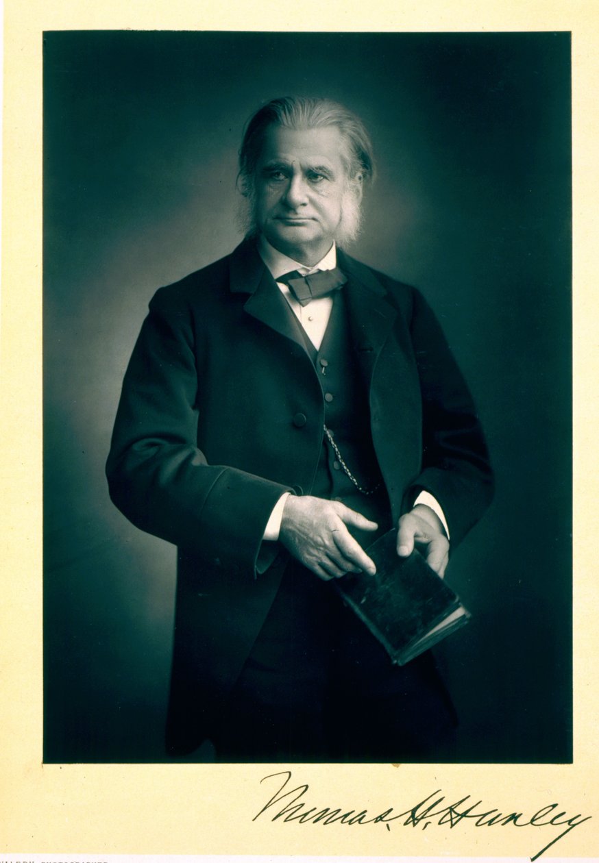 प्रोफेसर थॉमस एच। हक्सले (1825-95), जीवविज्ञानी, चित्र चित्र द्वारा स्टैनिस्लास वालरी