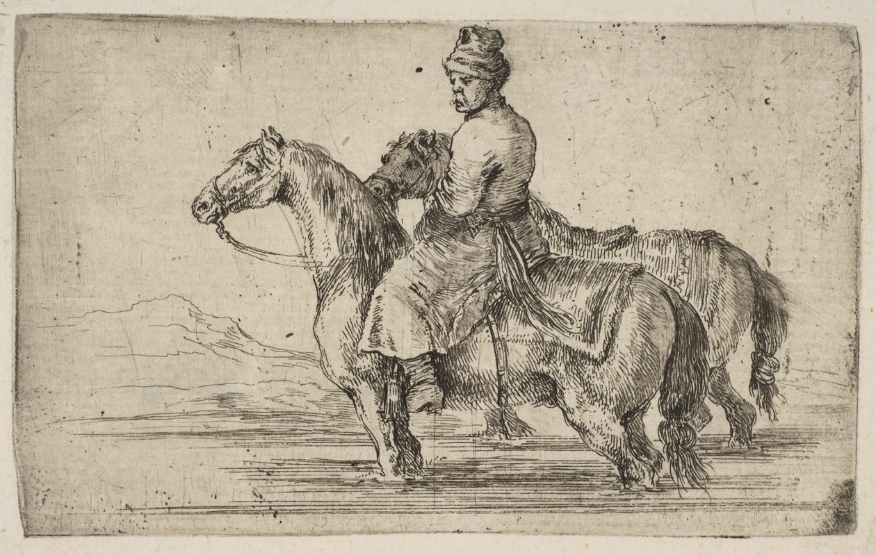 एक पोलिश दूल्हे स्नान घोड़े, ca. 1662। द्वारा स्टेफानो डेला बेला