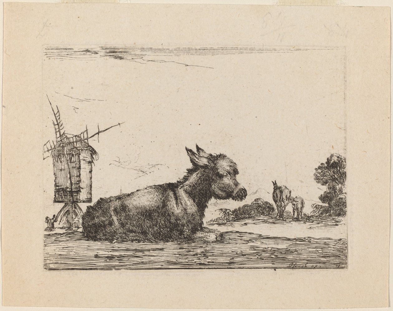 गधा आराम करते हुए, 1642. द्वारा स्टेफानो डेला बेला