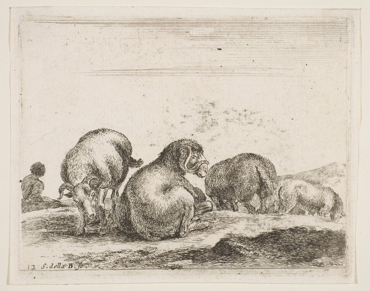 प्लेट 12: भेड़ और राम एक चरागाह में, विभिन्न जानवरों से विविध विविध, ca. 1641। द्वारा स्टेफानो डेला बेला