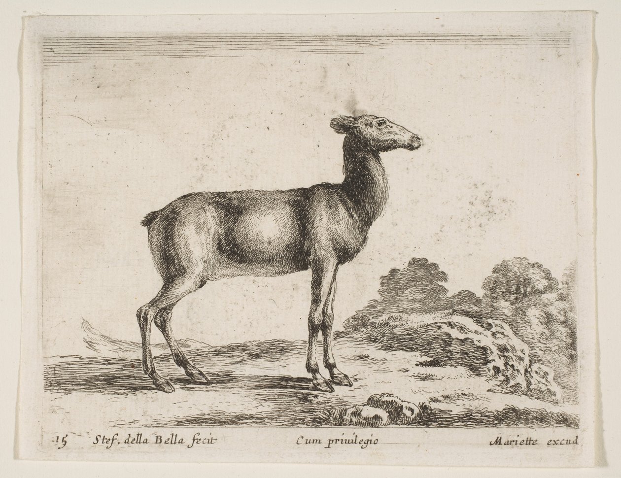 प्लेट 15: डो, विभिन्न जानवरों से विभिन्न जानवर, सीए। 1641। द्वारा स्टेफानो डेला बेला