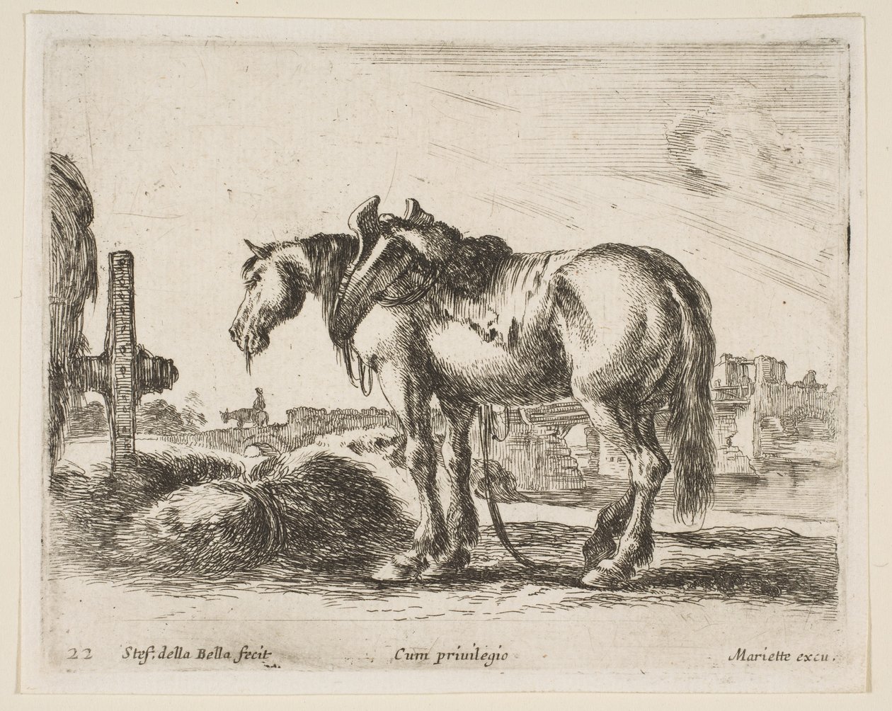 प्लेट 22: गाड़ी घोड़ा, विभिन्न जानवरों से, विविध एनिमली, सीए। 1641। द्वारा स्टेफानो डेला बेला