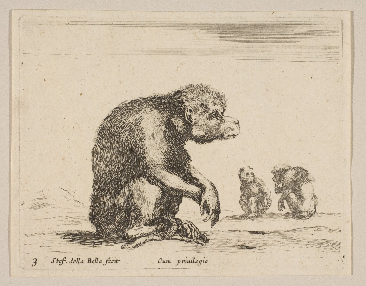 प्लेट 3: बैठा हुआ बंदर, विभिन्न जानवरों से विविधविद्या, ca. 1641। द्वारा स्टेफानो डेला बेला
