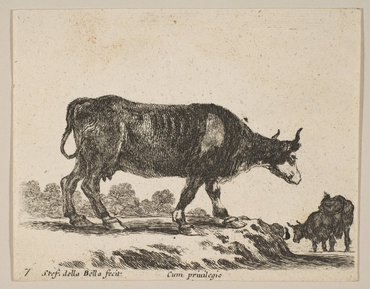 प्लेट Plate: गाय, विभिन्न जानवरों से विविध विविधली, सी.ओ. 1641। द्वारा स्टेफानो डेला बेला
