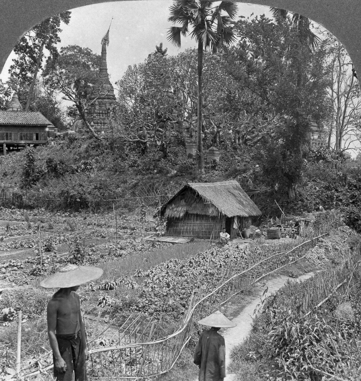 पैगोडा, भामो, बर्मा, 1908 के बीच एक वनस्पति उद्यान द्वारा स्टीरियो यात्रा सह