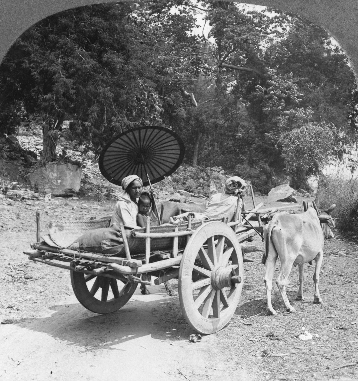 मिंगुन, बर्मा, 1908 के पास जंगल से यात्रा करते हुए परिवार द्वारा स्टीरियो यात्रा सह