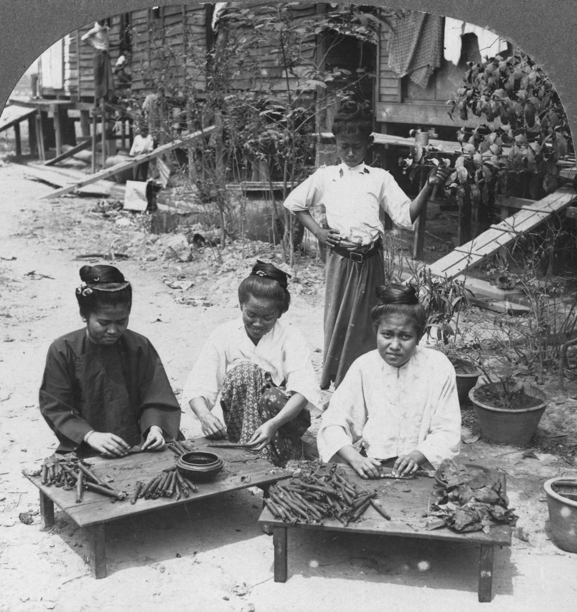 महिलाओं द्वारा धूम्रपान किए गए विशाल सिगार बनाना, बर्मा, 1908 द्वारा स्टीरियो यात्रा सह