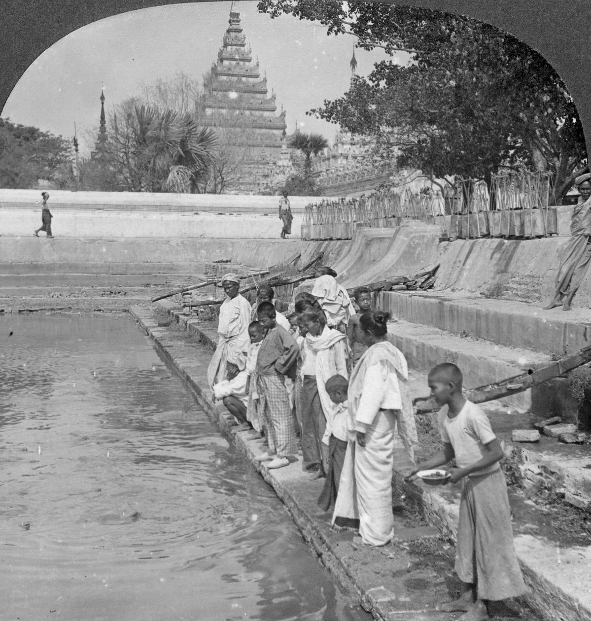 तीर्थयात्रियों को पवित्र कछुए, अराकान पैगोडा, मंडालय, बर्मा, 1908 खिलाते हैं। द्वारा स्टीरियो यात्रा सह