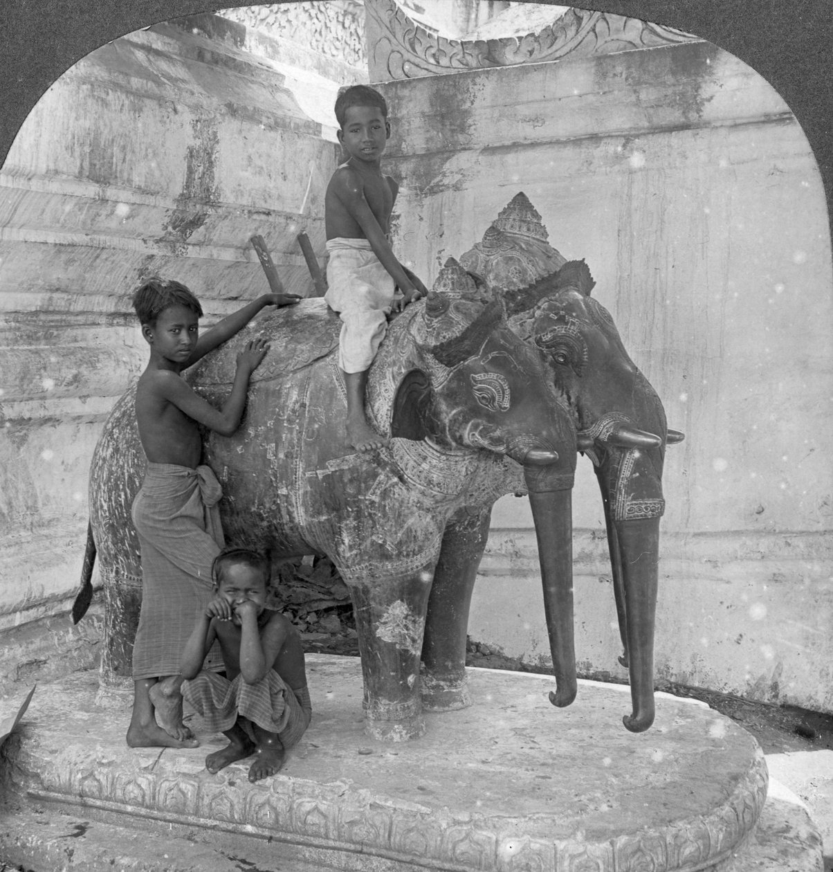 तीन प्रमुख हाथी अभयारण्य, अरकान पगोडा, मंडालय, बर्मा, 1908 की रखवाली करते हैं। द्वारा स्टीरियो यात्रा सह