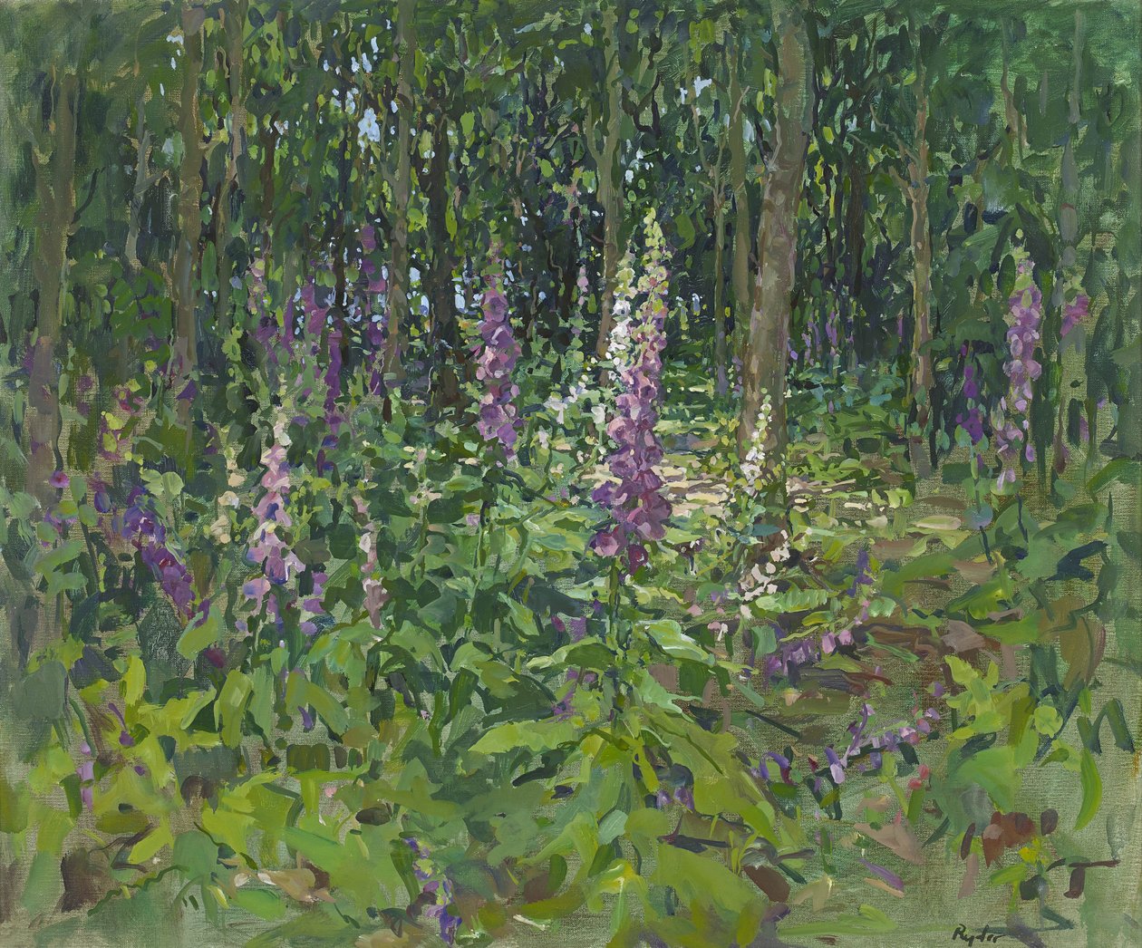 Foxgloves द्वारा सुसान राइडर